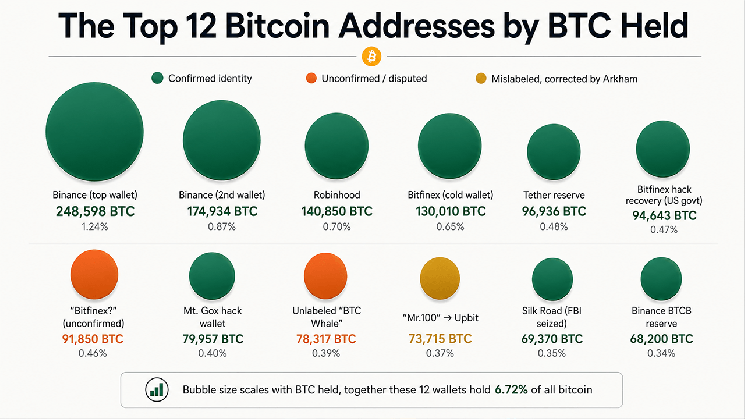 Inside the Top 12 Bitcoin Addresses: Who Holds 1.35 Million BTC