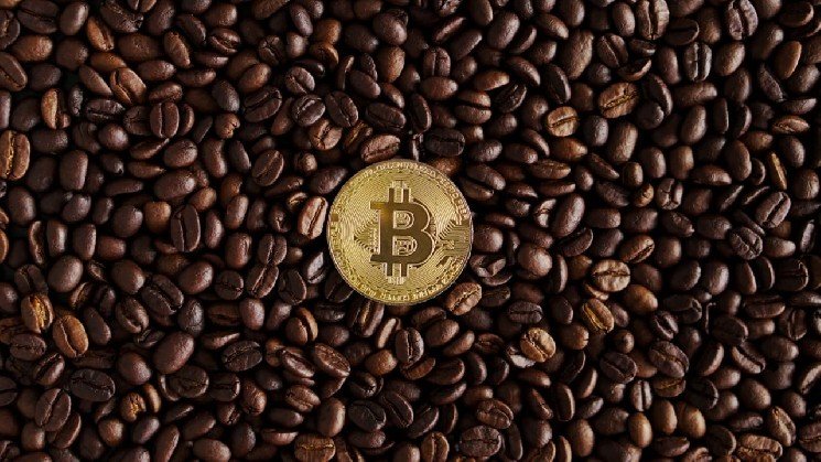 Vanadi Coffee's Bitcoin Pivot Soured by Exorbitant Board Fees and Shareholder Revolt