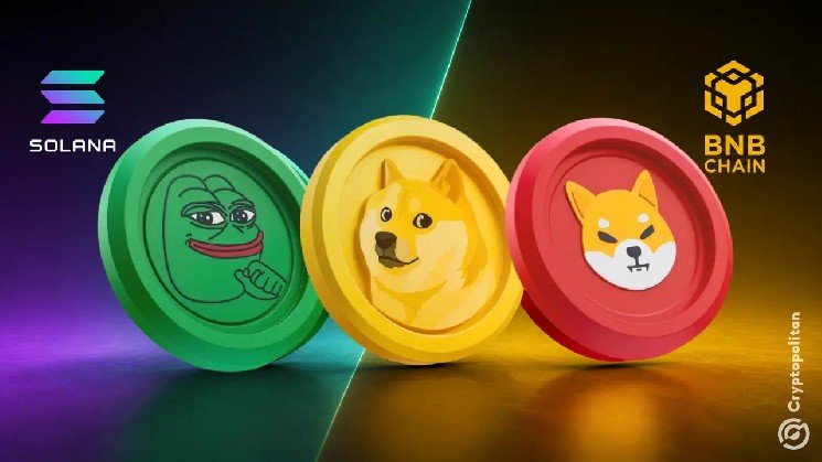 Meme coin trading lifts Solana addresses 38%, BNB Chain volume 45%