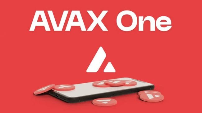 AVAX One CEO Jolie Kahn Resigns Days After Stock Crash Warning