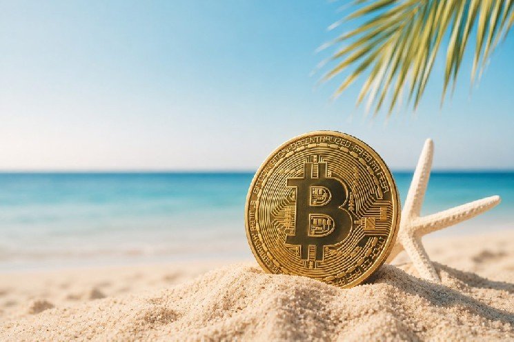 The Analyst Who Predicted the Drop Speaks Out Again: “Bitcoin’s Four-Year Cycle Is Running Like Clockwork”