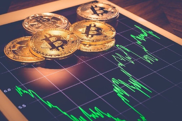 Bitcoin's Role In Geopolitics Is Growing: Self-Custody May Be Why