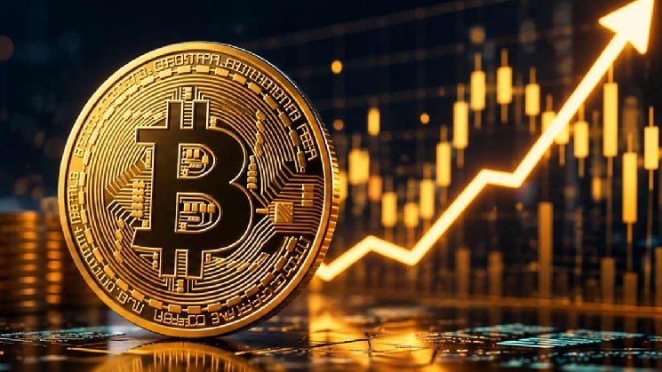 Bitwise CEO Says Bitcoin Is Poised to Rise After Swift Market Recovery
