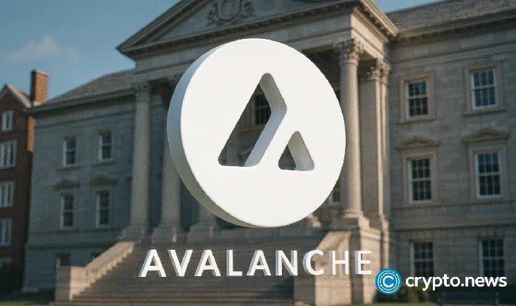 AVAX One starts CEO search as Avalanche treasury plan faces pressure