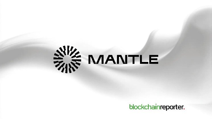Lighter and Mantle Whale Transactions Surge to Six-Month Highs Amid Altcoin Volatility