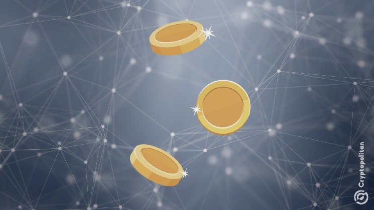 DeFi Dev Corp hands DisclaimerCoin control to ZeroStack CEO