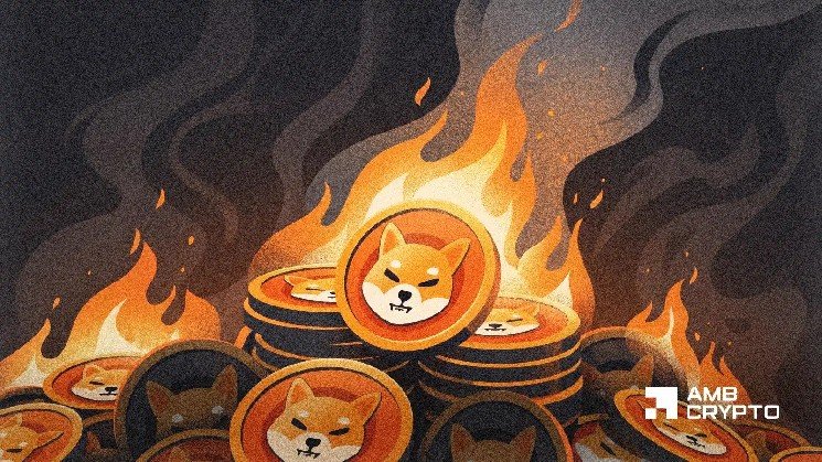 Shiba Inu drops 5% despite biggest token burn in 6 months – Here’s why!