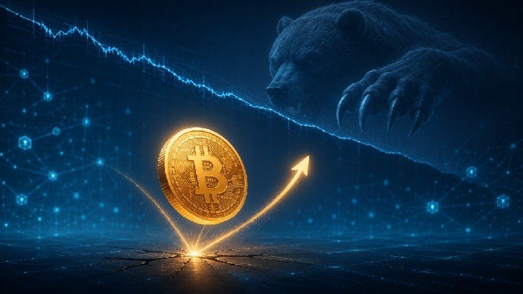 CryptoQuant Warns Bitcoin Rebound May Be a Bear Market Rally, Not a Trend Reversal