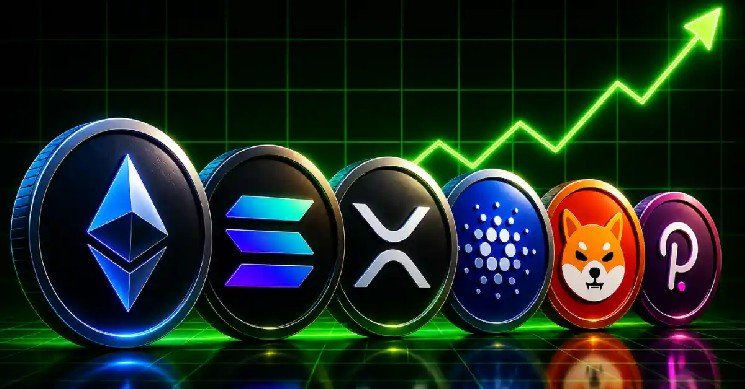 Top 10 Crypto Coins To Buy in 2026