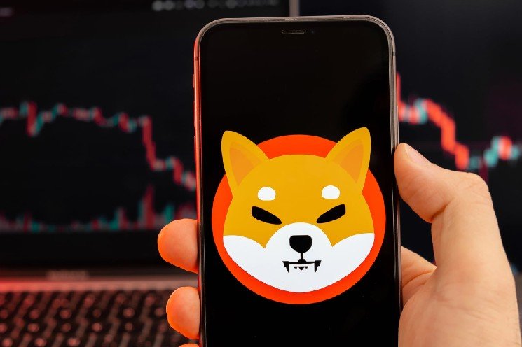 Is Everything OK With Shiba Inu (SHIB) X Account? It Suddenly Starts Promoting Low-Cap Coins