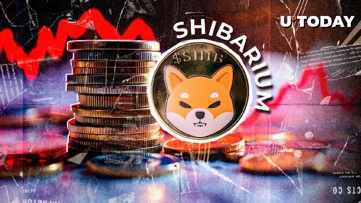 Shibarium Activity Crashes 75%: What's Going On With Shiba Inu?
