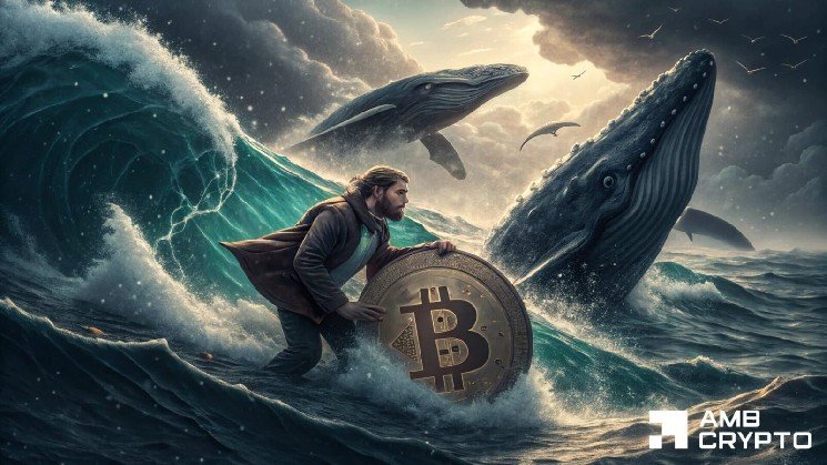 Bitcoin price holds above $60K – But is a BTC bull trap brewing?