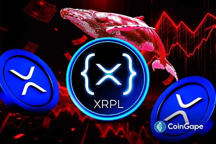 XRP News: XRP Ledger Records Massive Drop in Whale Activity amid 7.18M ETF Outflows
