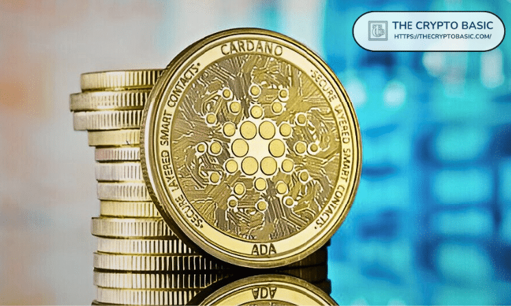 Cardano Whales Take ADA Holding to 3.5 Year High Amid Strong Dip Buying