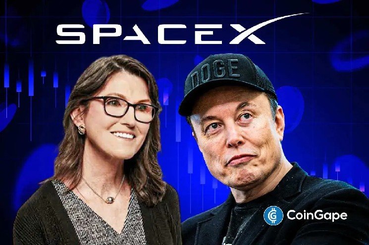 Cathie Wood Buys The Dip In SpaceX Stock Despite AI Bubble Warning By Experts