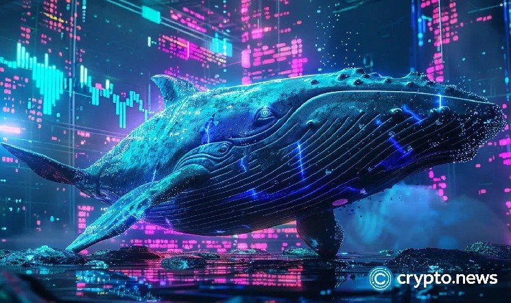 XRP whales snap up 70M tokens as exchange reserves hit new low