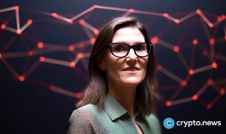 Cathie Wood defies SpaceX stock slump with a fresh $51M bet