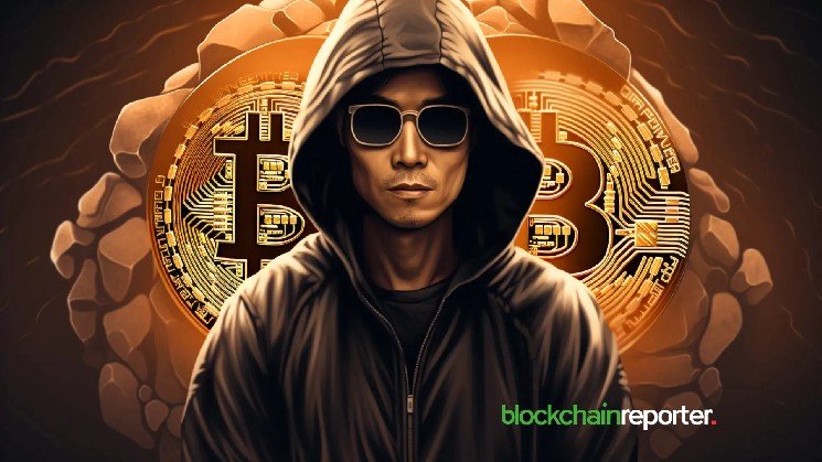 Satoshi Holds 1.1 Million Bitcoin, but Exchanges and Institutions Now Dominate Supply