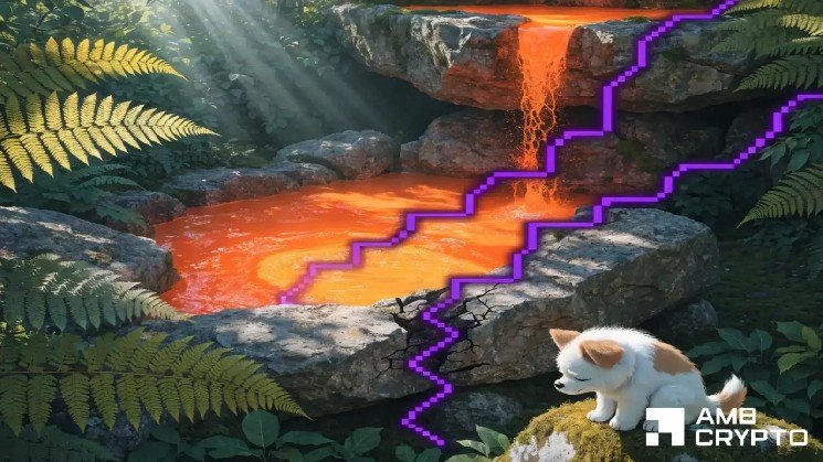 How BONK’s post-exploit moves could spur a price decline of 18%