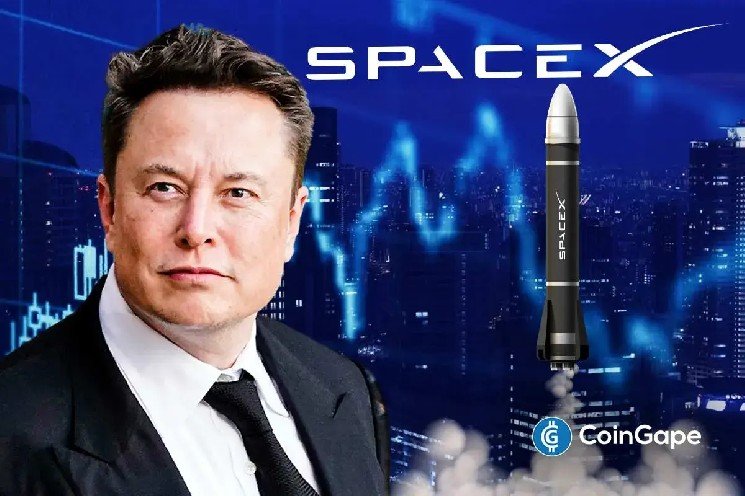 SpaceX Stock Price Loses Another 5% But Expert Remains Bullish, Here’s Why