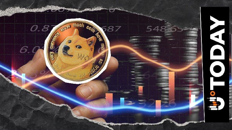 $0 in DOGE Shorts Liquidated in 12 Hours: Where Did the Bears Go?