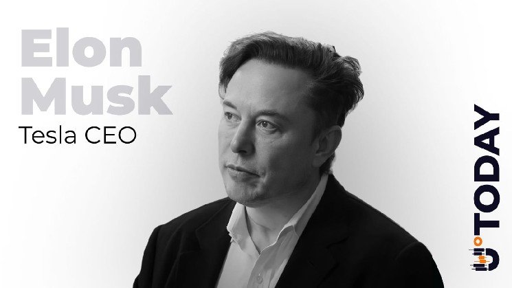 Dogecoin Fan Elon Musk Exits Trillionaire Club