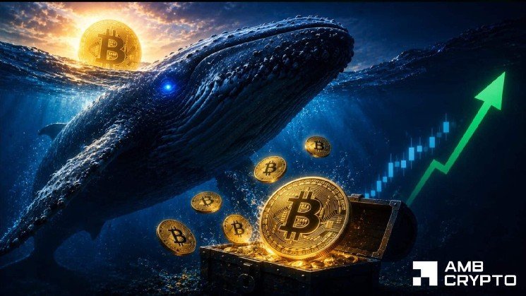 Assessing Bitcoin’s sideways drift as dormant $290M BTC whale reloads