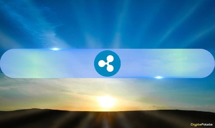 XRP Has Stayed in Crypto’s Top 10 for 13 Straight Years – No Other Altcoin Has Done This