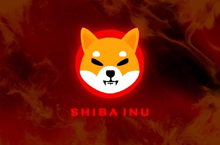 Shiba Inu (SHIB) Loses 65% of Daily Exchange Outflows
