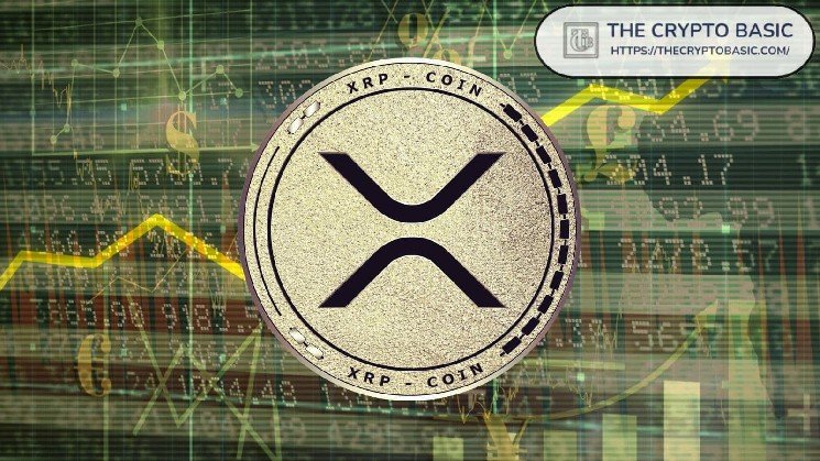 Expert Says XRP Could Fall to Negative $5 in Long Term