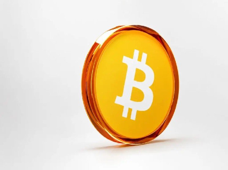 Which Way Will the Bitcoin Price Go in the Coming Days? Are the $80,000–$90,000 Levels on the Horizon?
