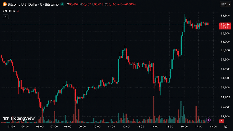 Bitcoin Roars Back Above $65K as Iran War Fails to Break Whale Buying Frenzy