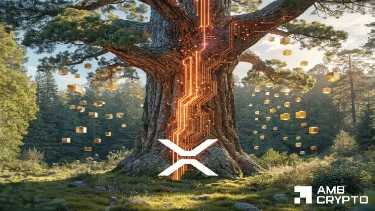 XRP price prediction: Will whale buying be enough to push it past $1.20?