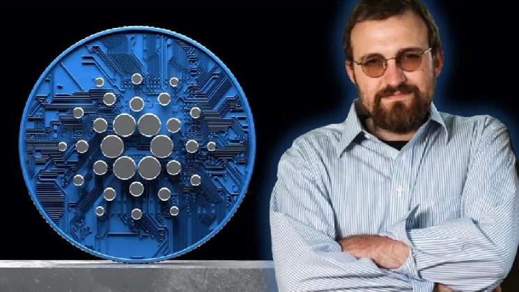 Cardano Founder Charles Hoskinson Speaks About the Drop in the Price of ADA