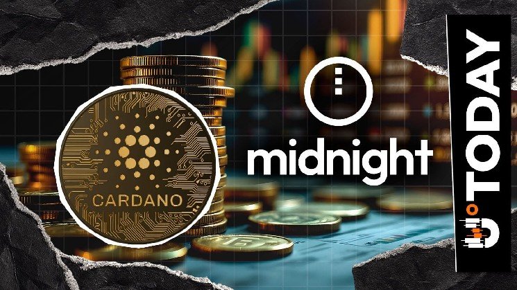 515 Million NIGHT Exploit Update: 7 Major Exchanges Lock Down Stolen Funds for Cardano's Privacy Network