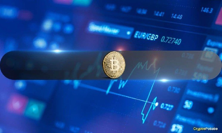 Bitcoin’s Spot Market Remains Sluggish, but Derivatives Tell a Different Story