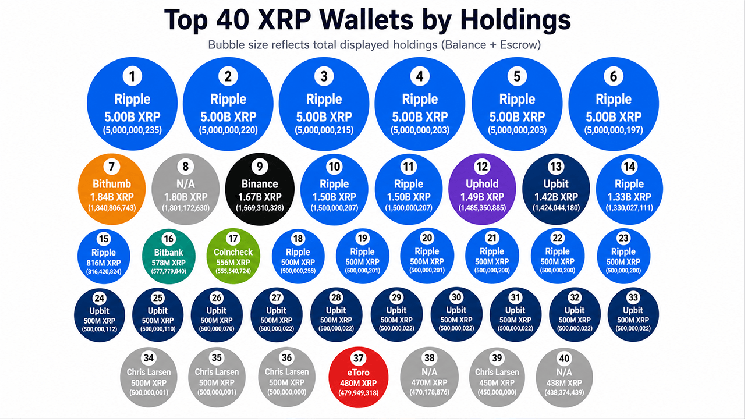55.84 Billion XRP Appears Across the Top 40 Wallets, but Escrow Changes the Picture