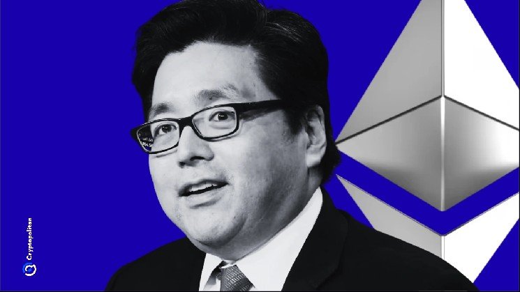 Tom Lee: AI funds are rotating into Ethereum over memory chips