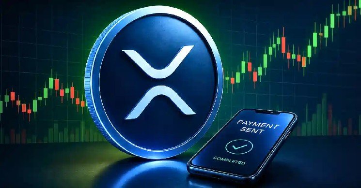 XRP Rich List Update : How Much XRP Do You Need to Be in the Top 1%?