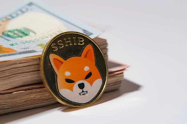 Shiba Inu (SHIB) Targets Top 25: How 94.5% Whale Concentration Could Fuel Comeback