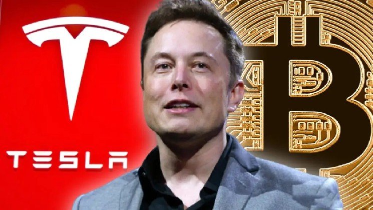 BREAKING: Tesla Announces Earnings Report! Did They Trade Bitcoin?