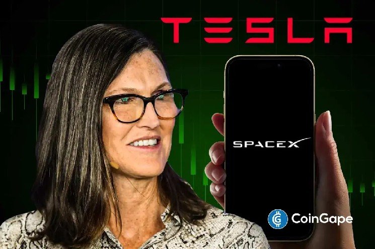 Cathie Wood Accelerates SpaceX Stock Buying Spree As Tesla-SpaceX Merger Odds Hit 90%