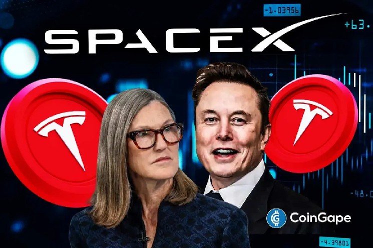 Cathie Wood Snaps Up $60M In Tesla, Circle, Securitize Shares As US Stock Market Crashes