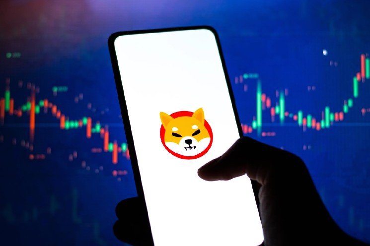 Shiba Inu Coin Whale Breaks 8-Month Silence to Quietly Absorb SHIB on Binance