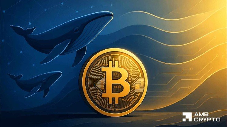 Why Bitcoin’s 55% profitable supply doesn’t confirm BTC’s full recovery yet
