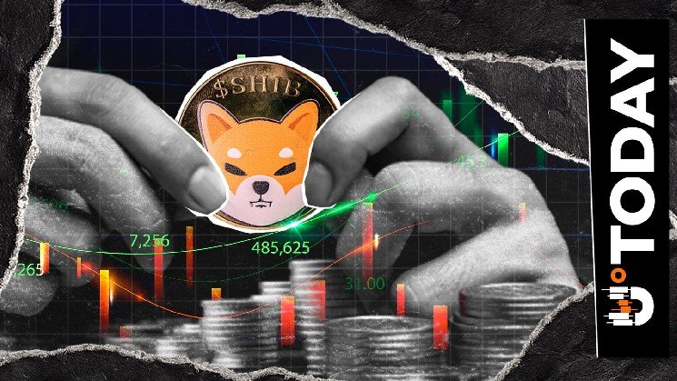 'Momentum Building': Shiba Inu Veteran Reacts to 40% SHIB Price Surge