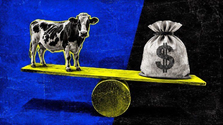 How 10 cows in Brazil unlocked a tokenized path to bridge an $8 trillion global finance gap