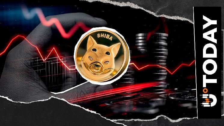 Shiba Inu's Dramatic U-Turn Pulls Futures Market Down 25%
