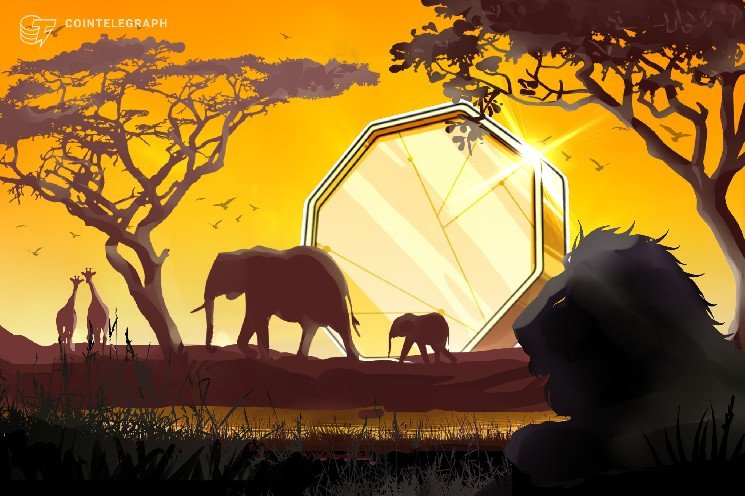 Zimbabwe admits seven fintech projects to regulatory sandbox