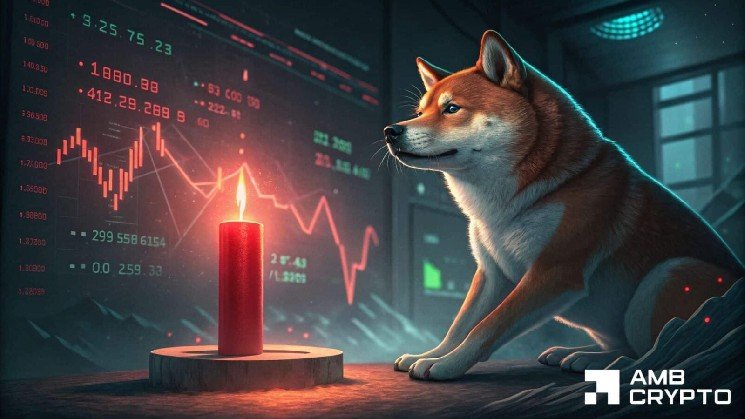 Here’s why Shiba Inu’s imbalance zone is in focus after price falls by 11%